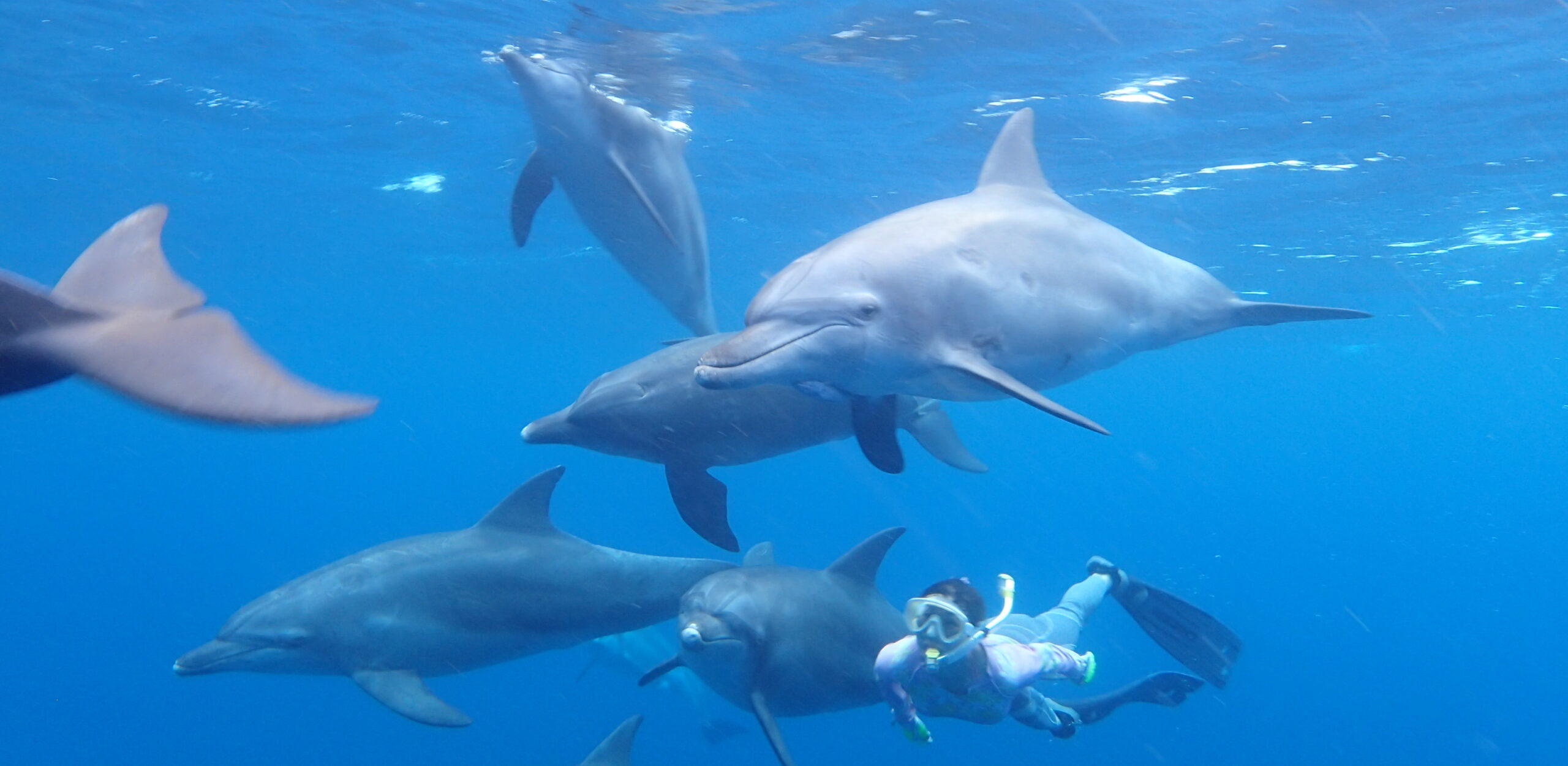 代表プロフィール